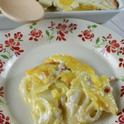 Gratin de pommes de terre au camembert